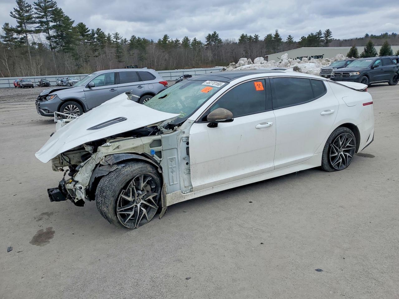 Salvage Kia Stinger Image