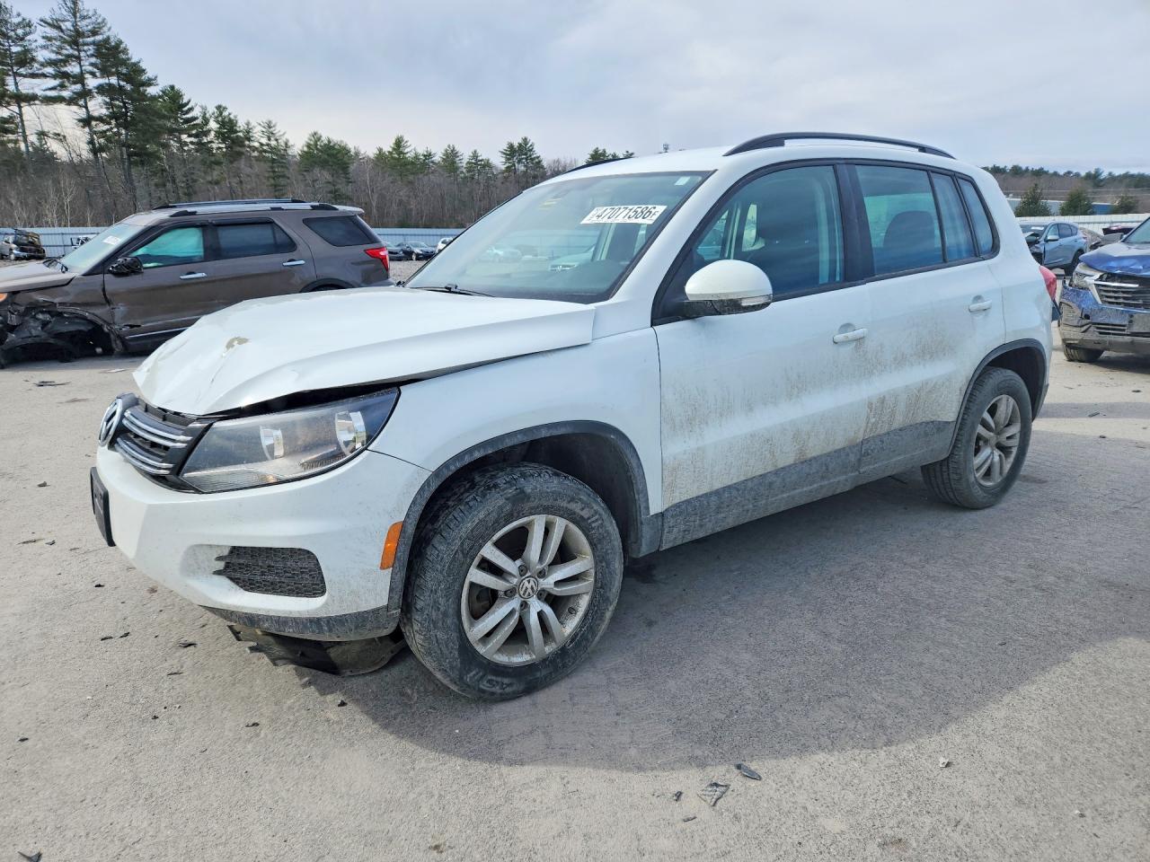 Salvage Volkswagen Tiguan Image