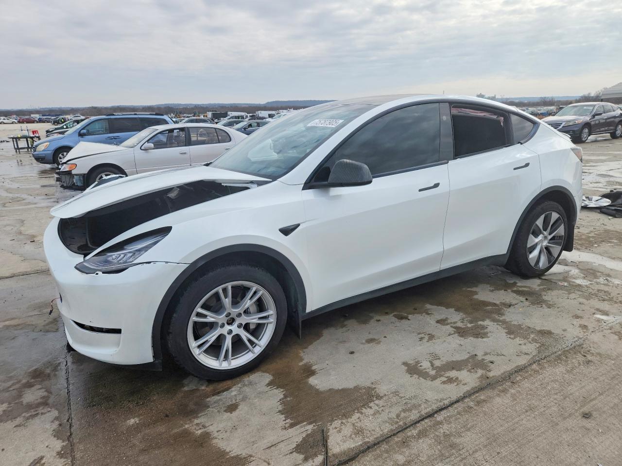 Salvage Tesla Model Y Image
