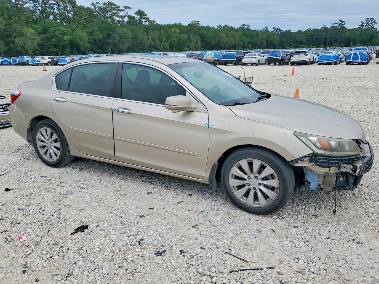 Honda Accord Exl