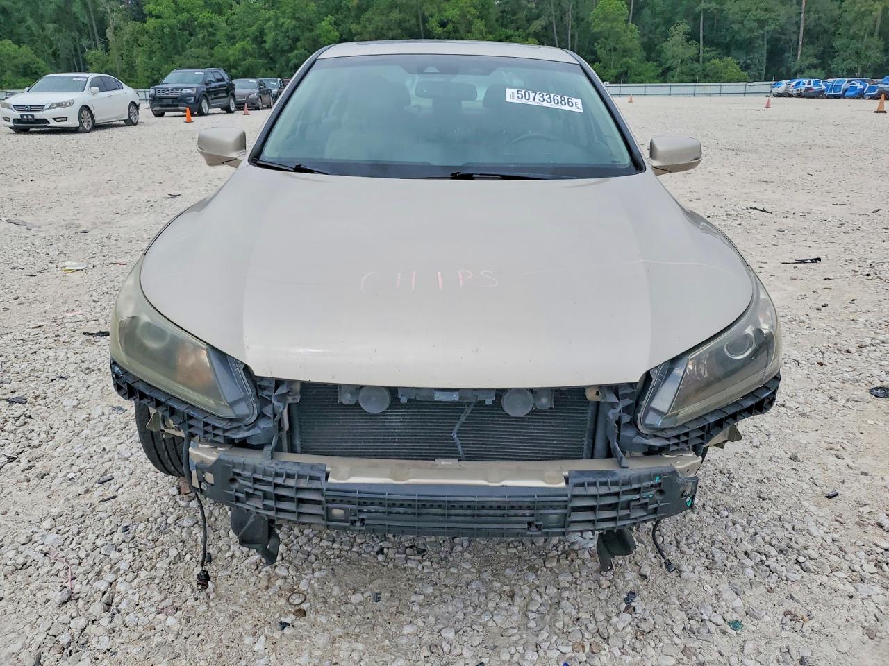 Honda Accord Exl