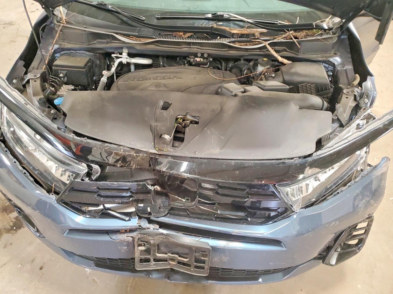 Honda Odyssey Elite