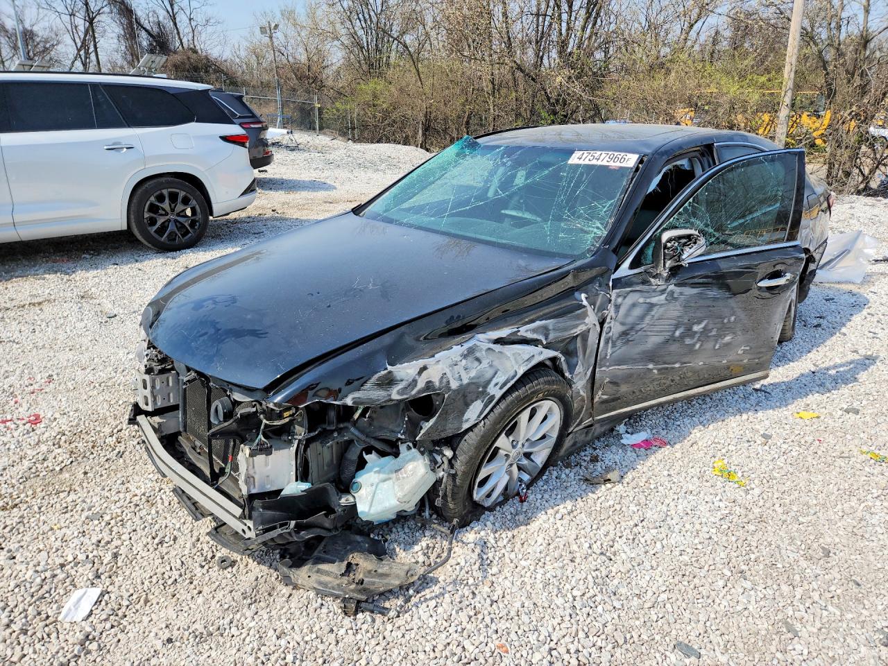Salvage Lexus LS Image