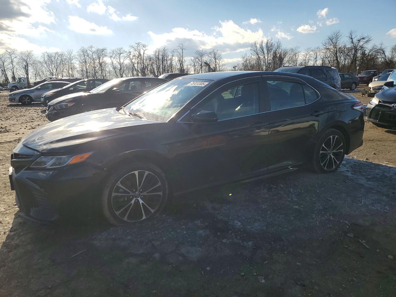 Salvage Toyota Camry Image