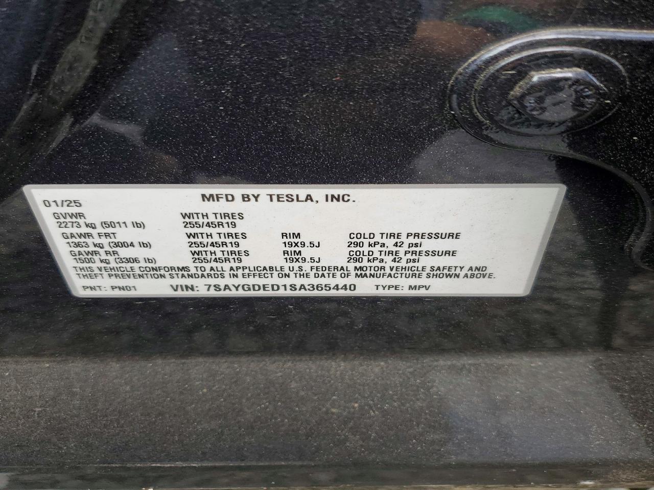 Tesla Model Y