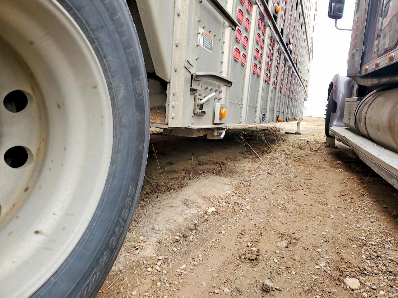 Wilson Trailer Co Trailer