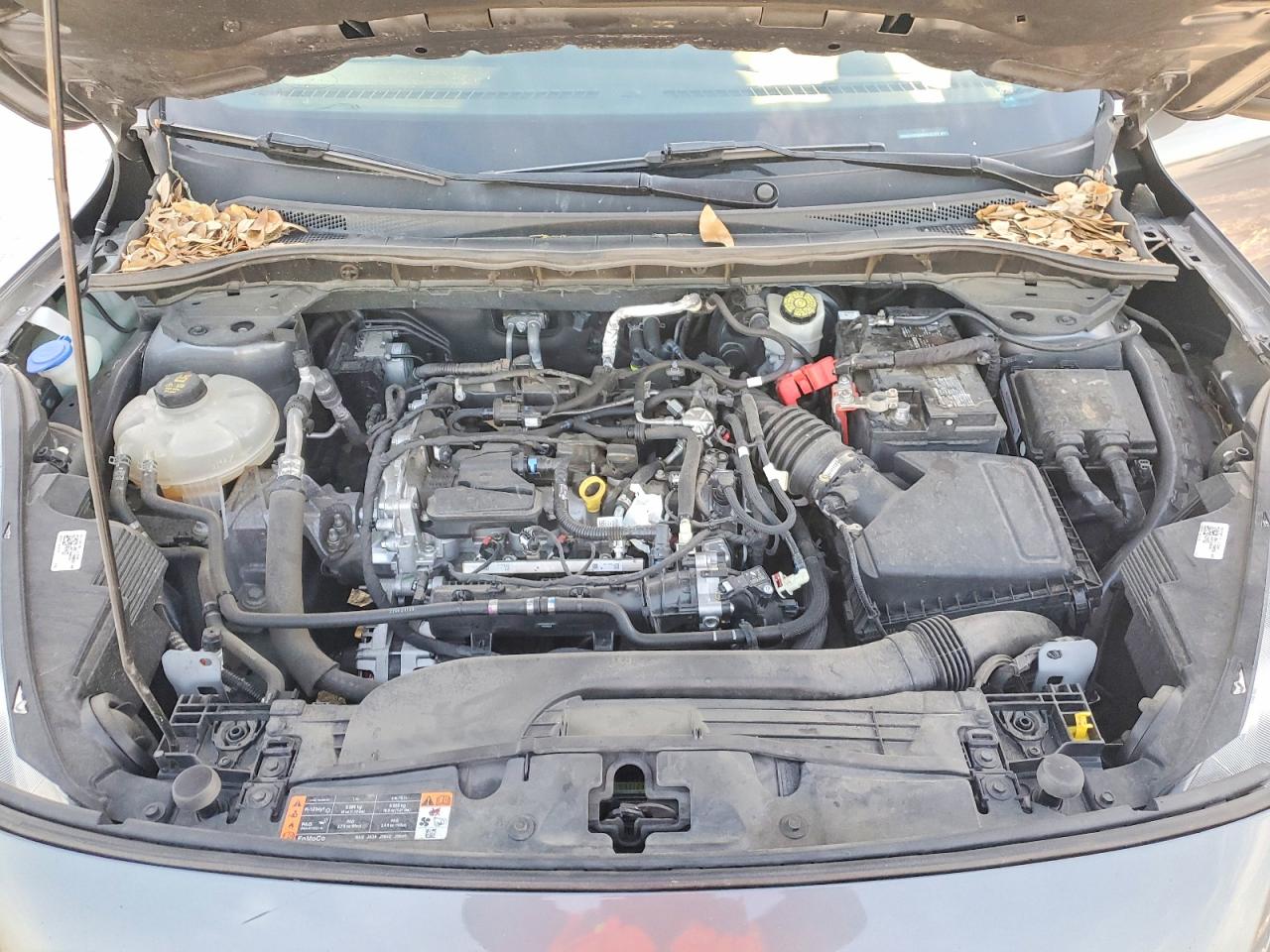 Ford Escape S