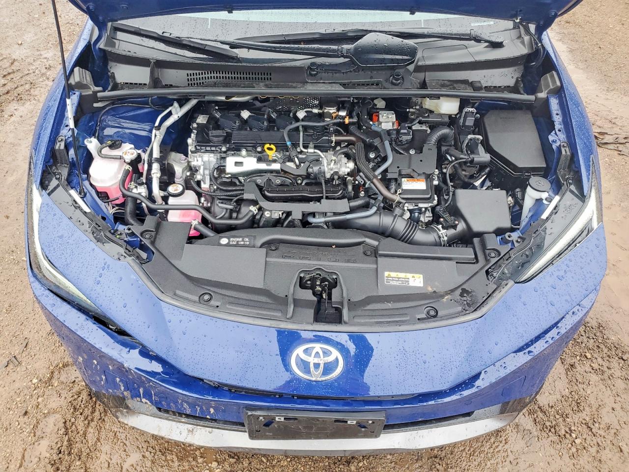 Toyota Prius Xle