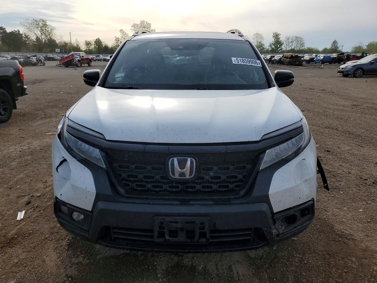 Honda Passport Elite