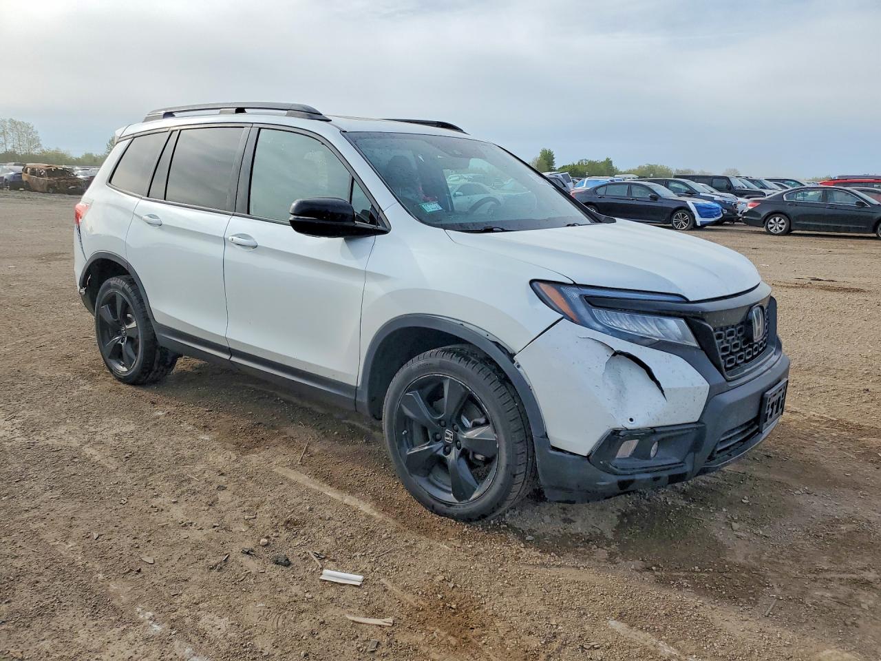 Honda Passport Elite