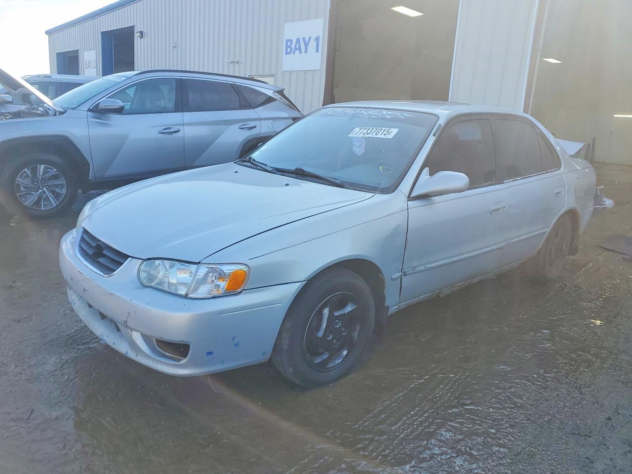 Salvage Toyota Corolla Image