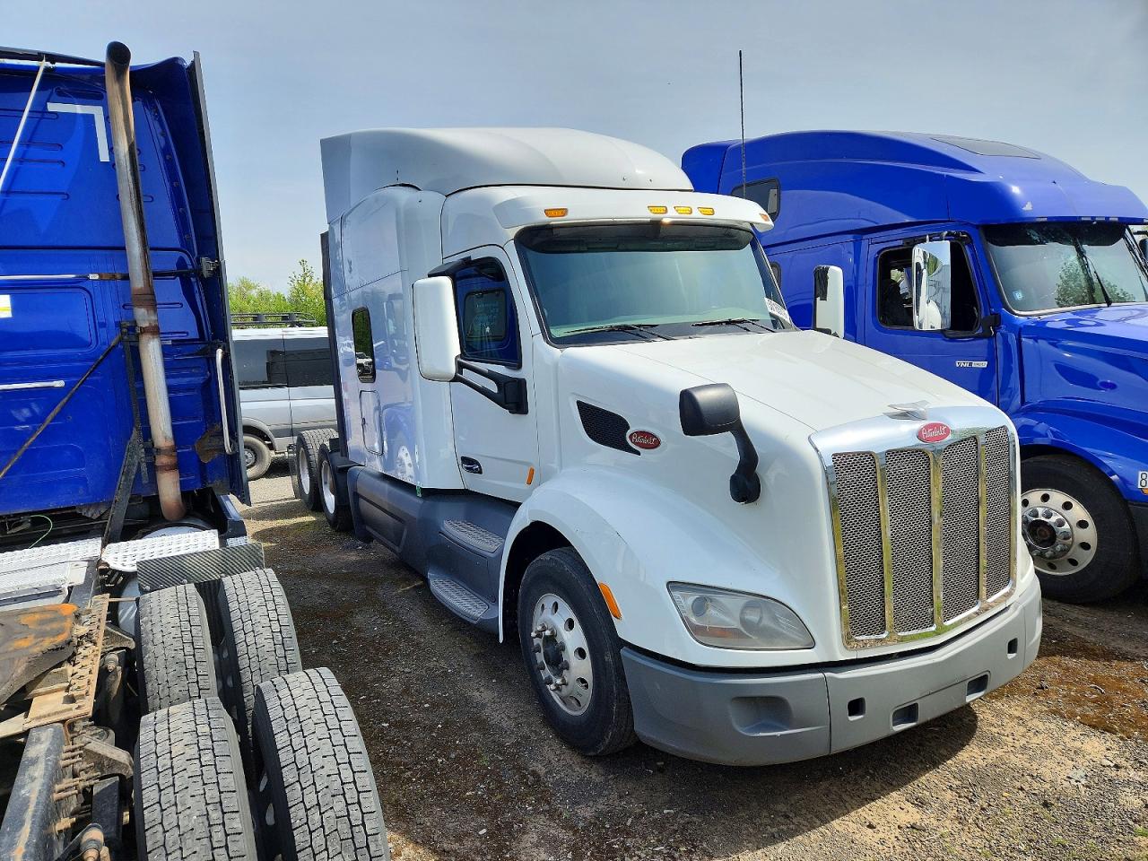 Salvage Peterbilt 579 Image