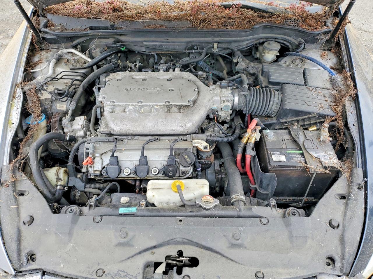 Honda Accord Ex
