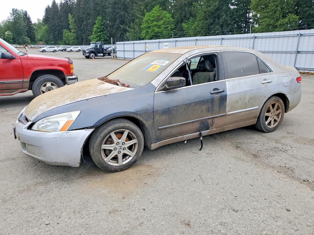 Salvage Honda Accord Image