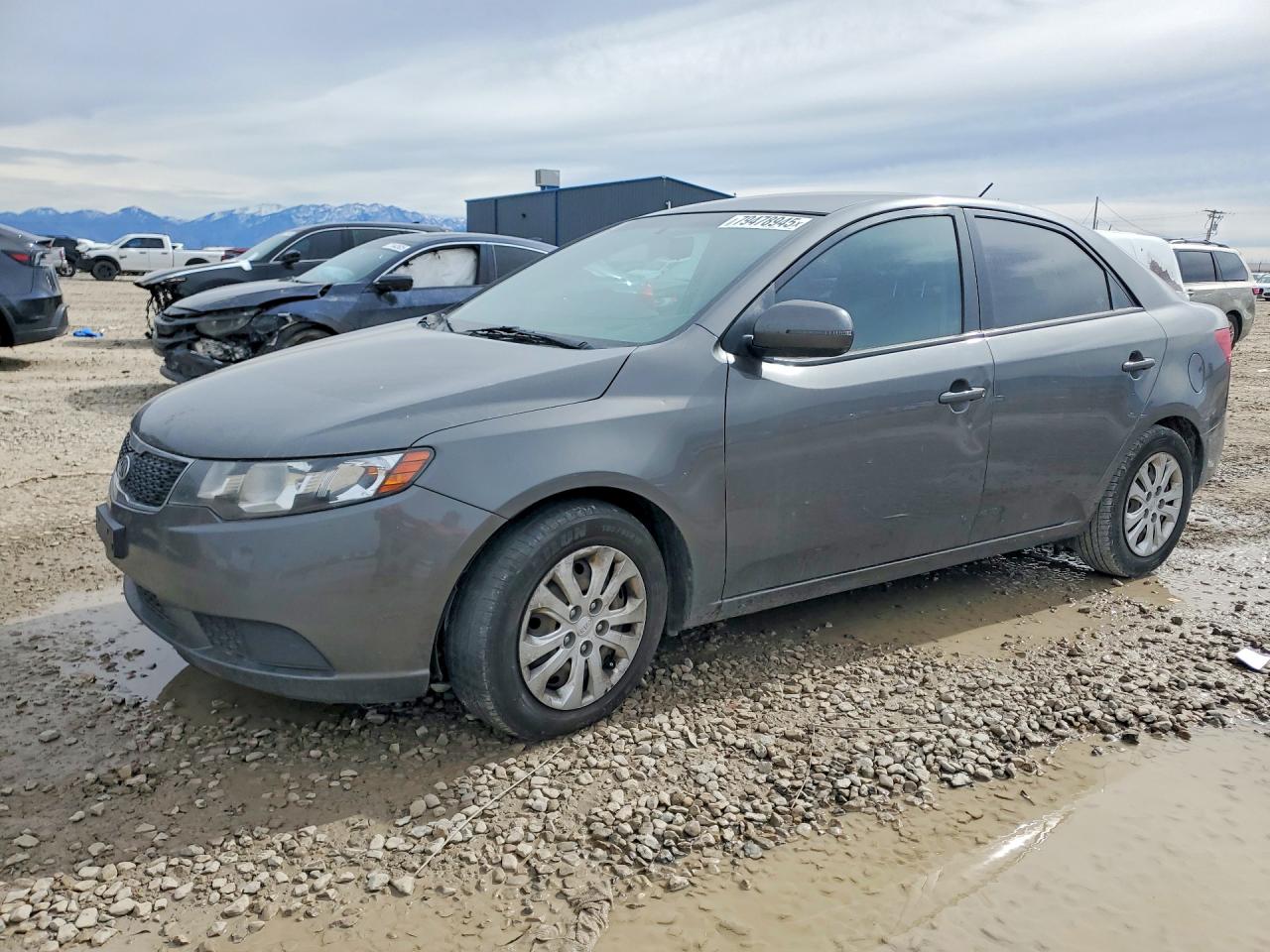 Salvage Kia Forte Image