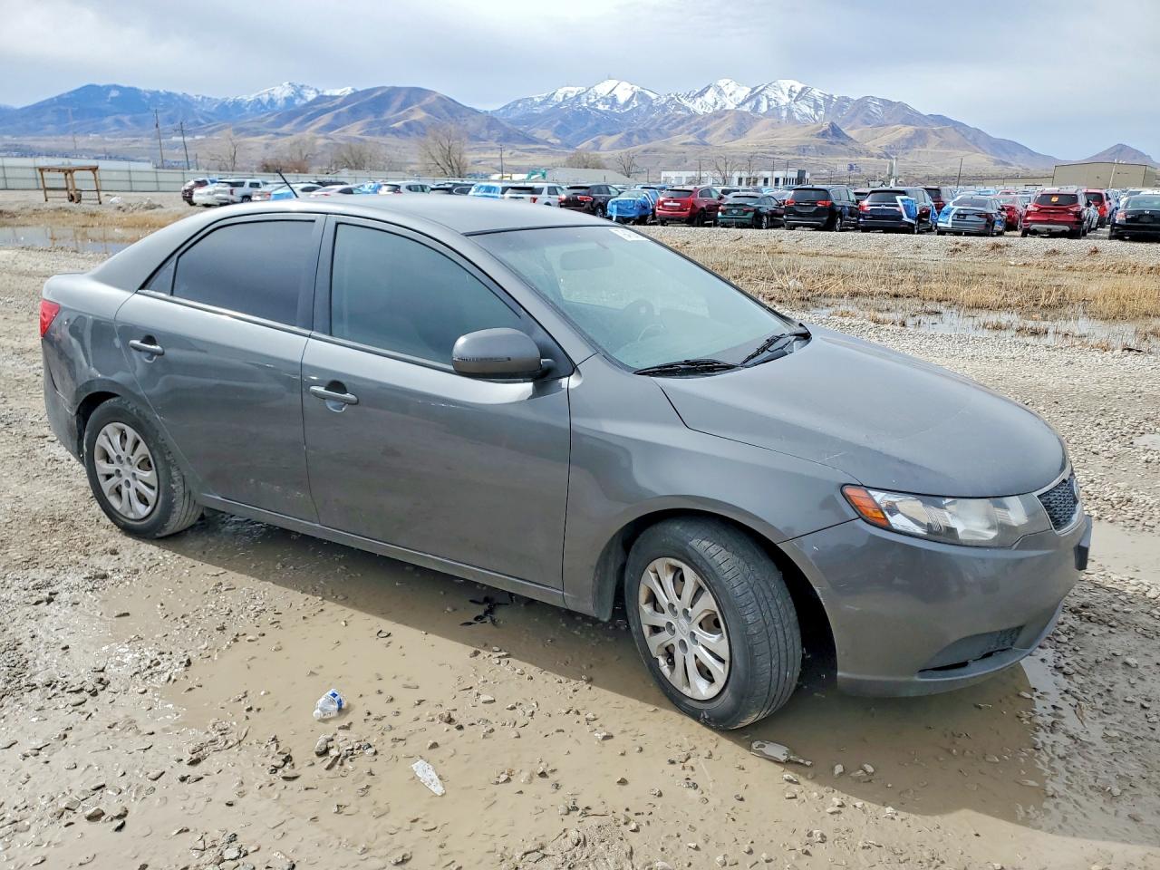 Kia Forte Ex