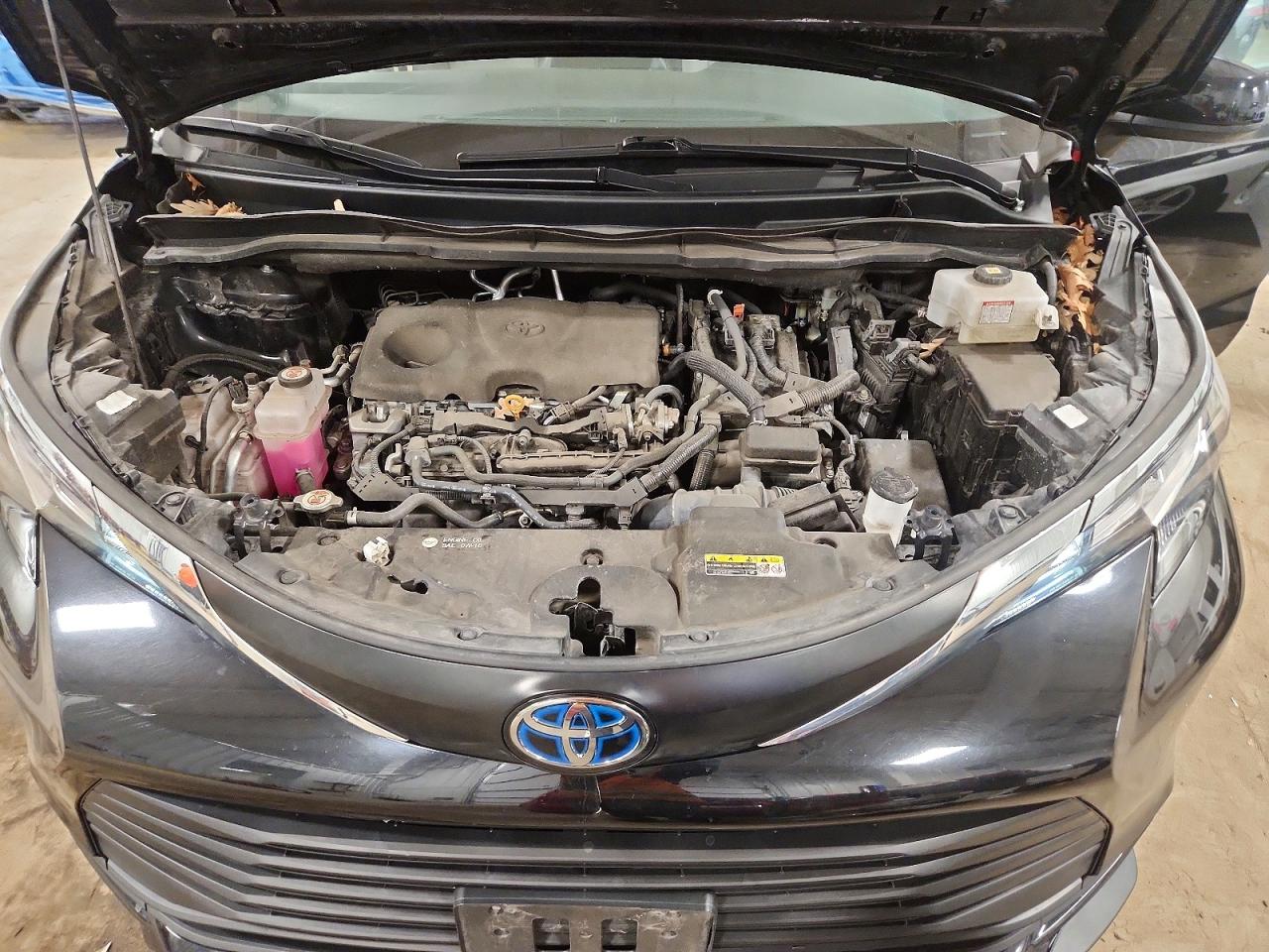 Toyota Sienna Le