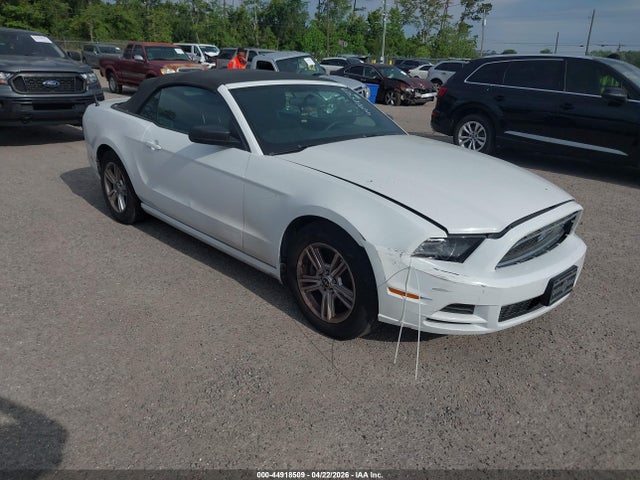 Salvage Ford Mustang Image