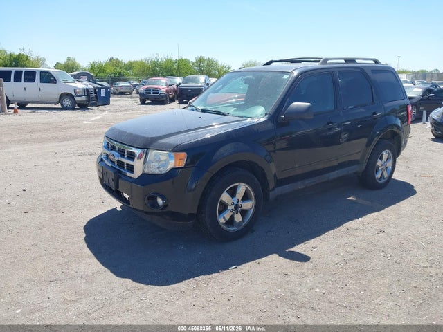 Ford Escape Xlt
