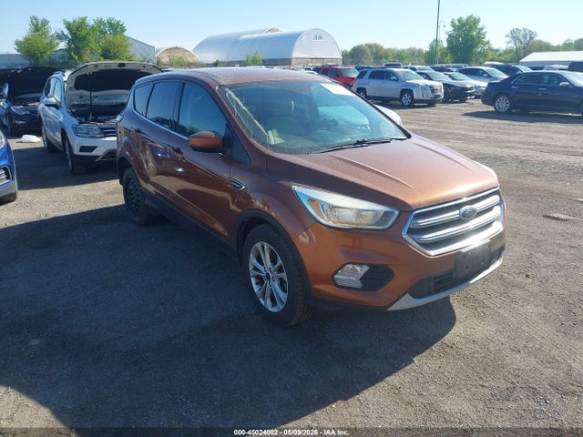 Salvage Ford Escape Image