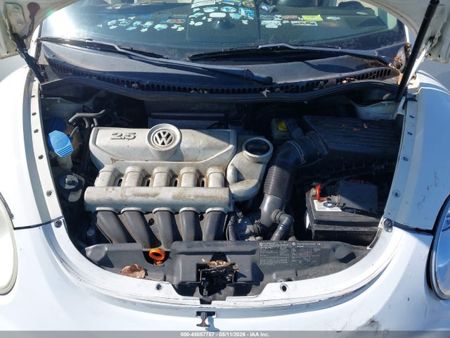 Volkswagen Beetle Triple White