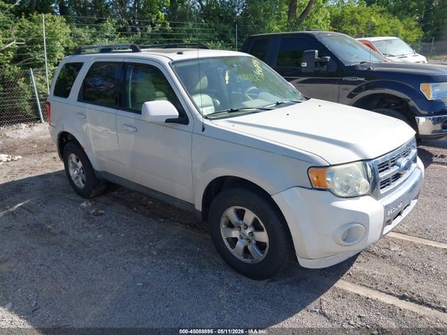 Salvage Ford Escape Image