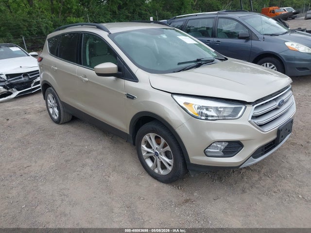 Salvage Ford Escape Image