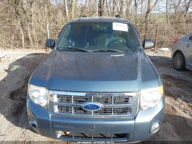 Ford Escape Xlt