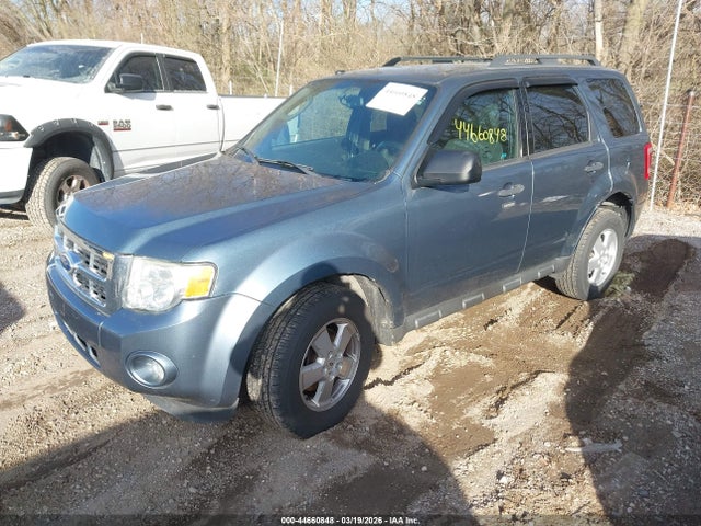 Ford Escape Xlt