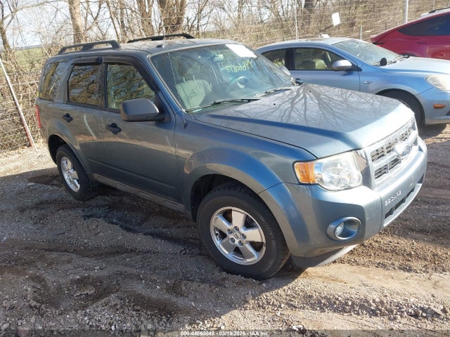 Salvage Ford Escape Image