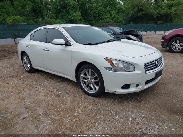 Salvage Nissan Maxima Image