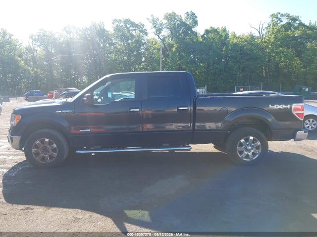 Ford F-150 Xlt