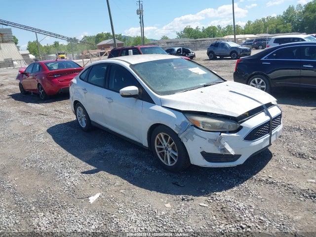 Salvage Ford Focus Image