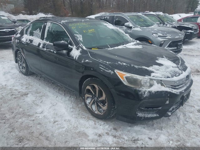 Salvage Honda Accord Image