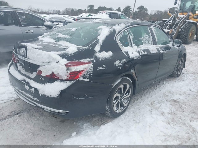 Honda Accord Ex-l V6