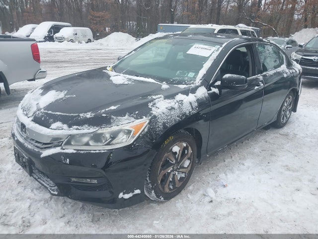 Honda Accord Ex-l V6