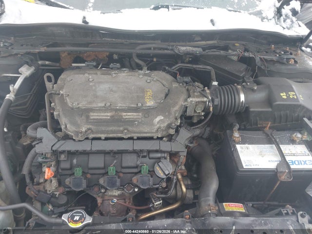 Honda Accord Ex-l V6