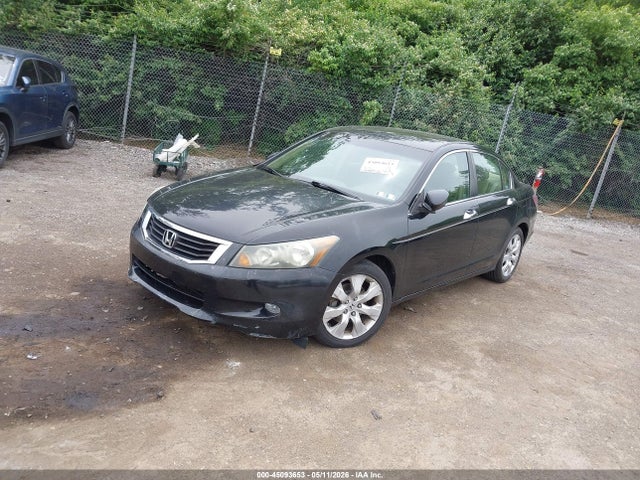 Honda Accord 3.5 Ex-l
