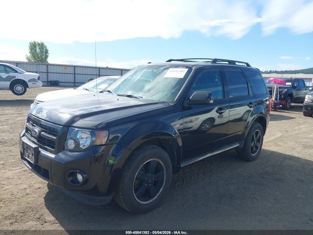 Ford Escape Xlt