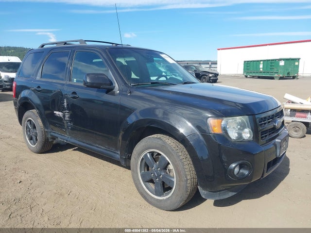 Salvage Ford Escape Image