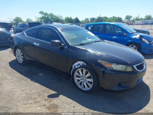 Salvage Honda Accord Image