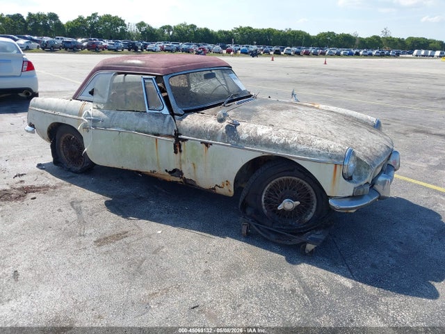 Salvage Mg B Image