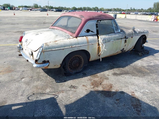 Mg B