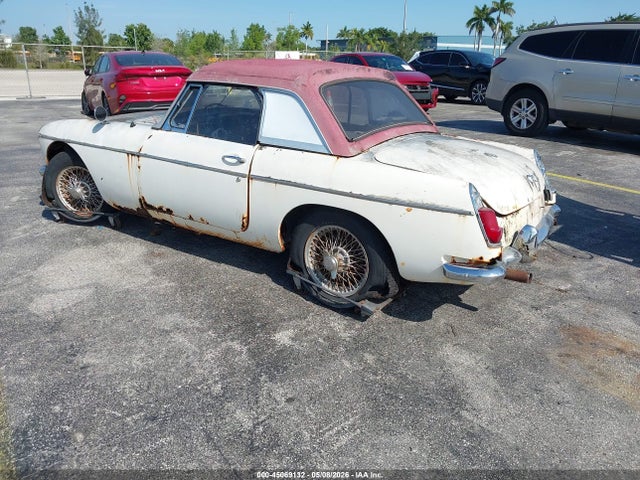 Mg B