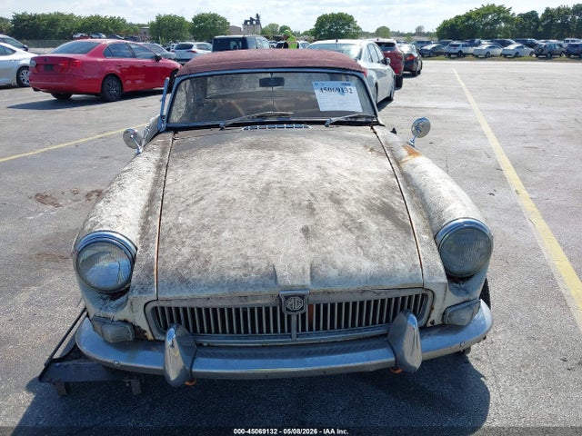 Mg B