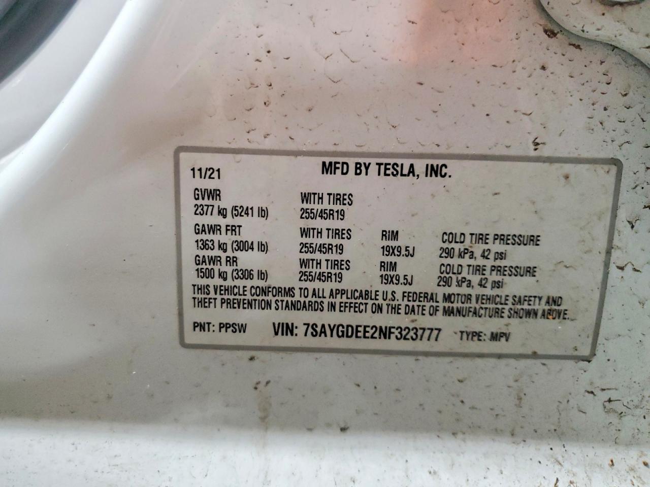 Tesla Model Y