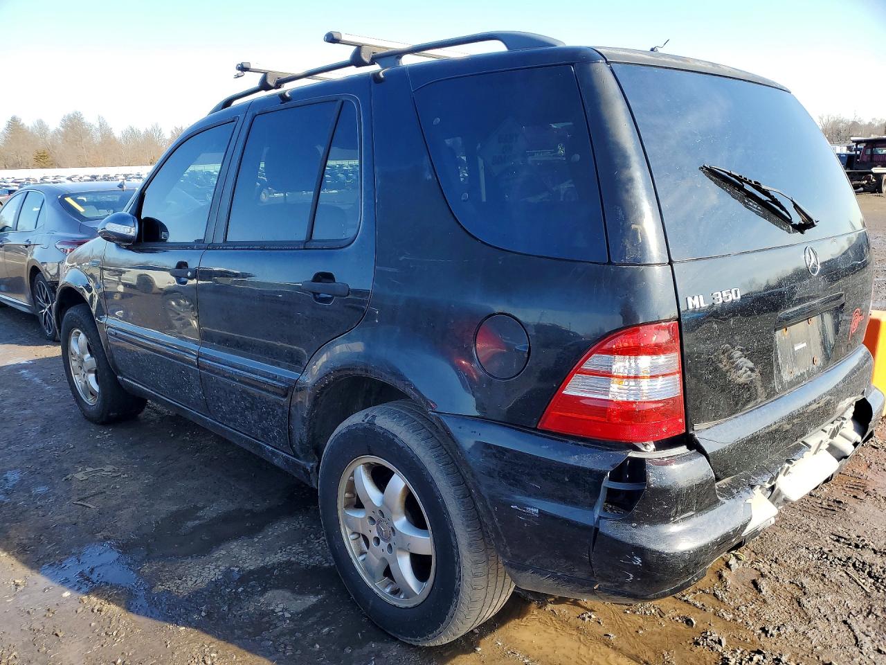 Merz M-Class