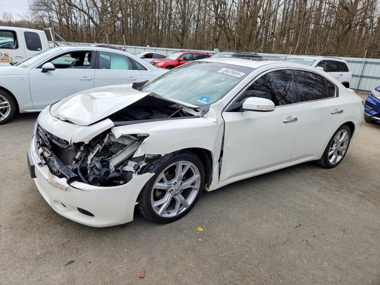 Salvage Nissan Maxima Image