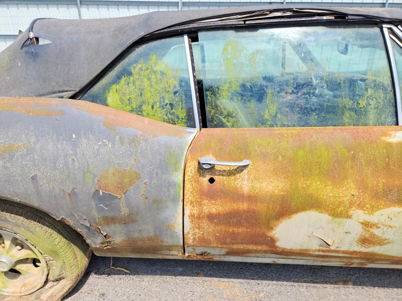 Pontiac GTO