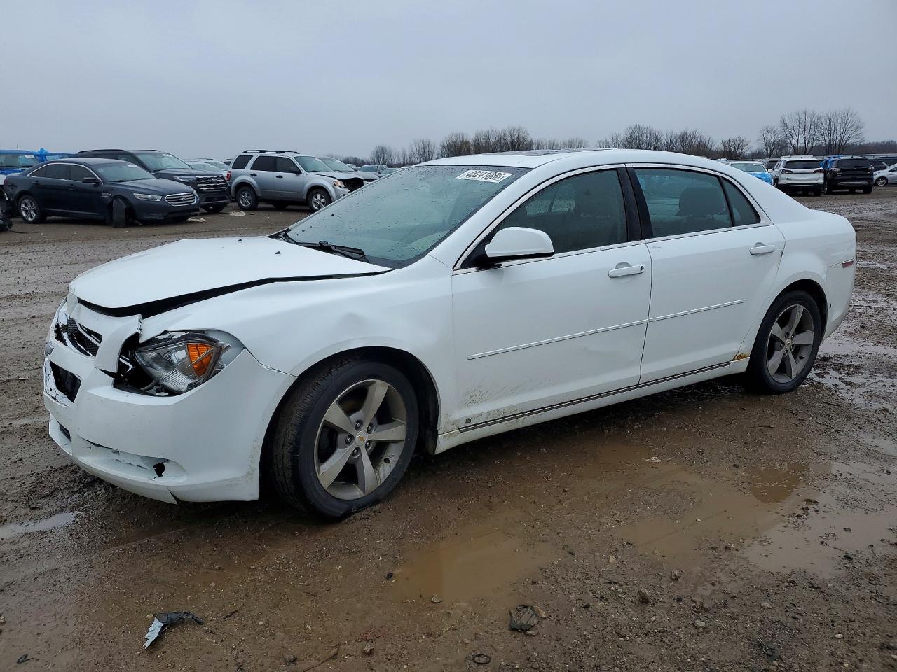 Salvage Chevrolet Malibu Image